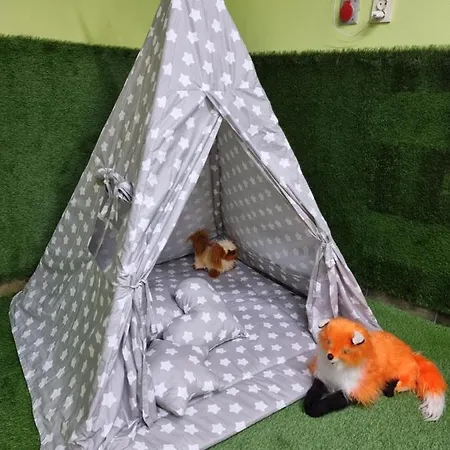 Chalet U Jacka Sauna Bilard Tenis Air Hockey Pilkarzyki Bawialnia Plac Zabaw *